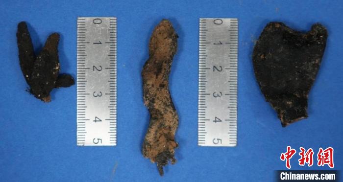 重庆时时彩：黄山九龙峰发现珍稀名贵中药材乌灵参